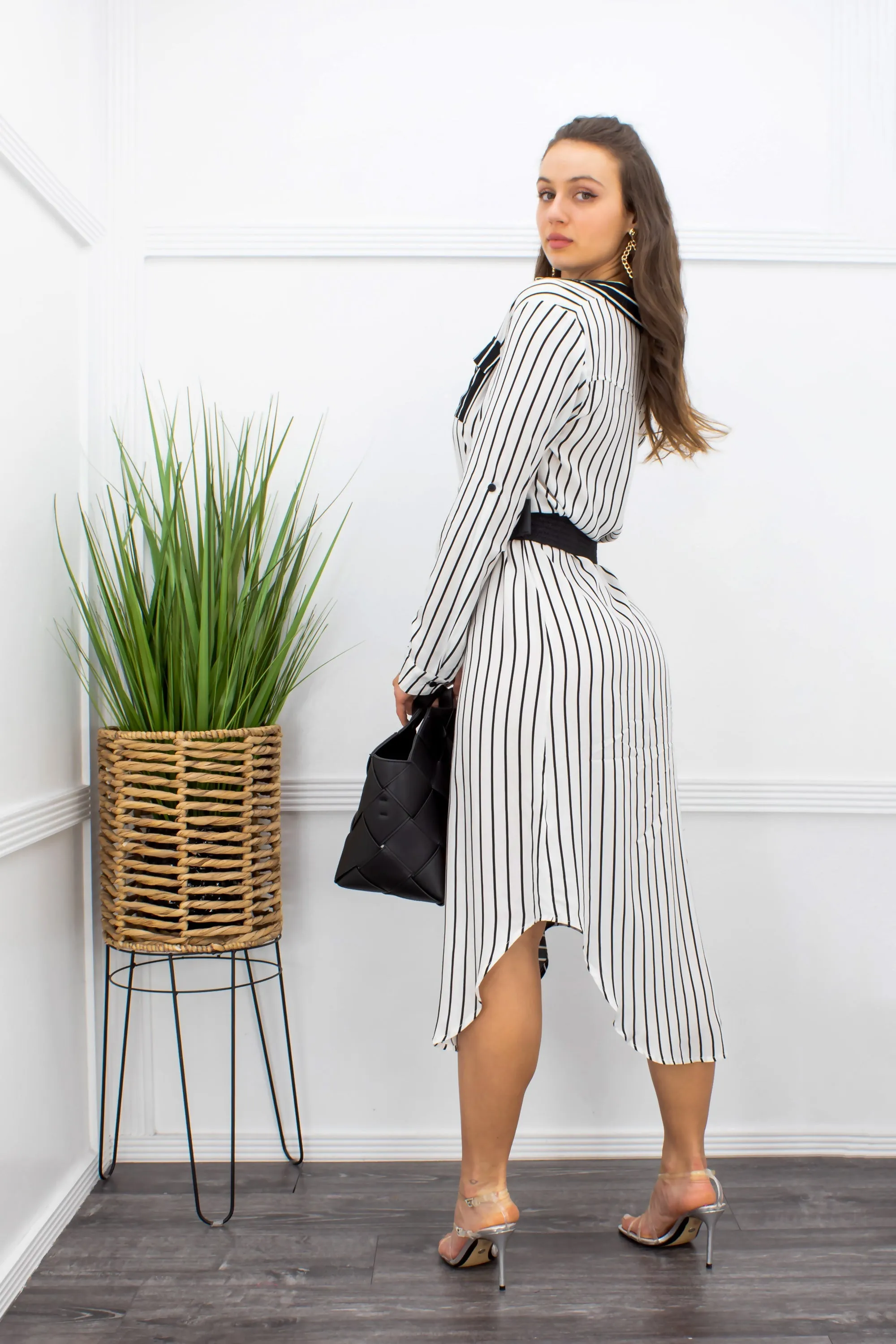 Chiffon Long Sleeve Midi Dress