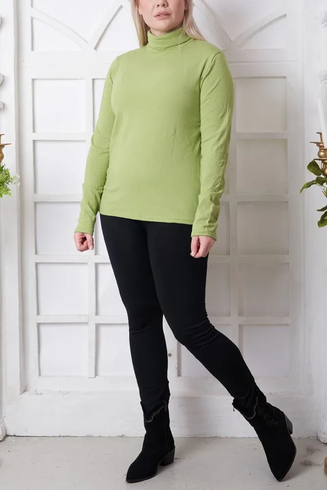 Plain Ribbed Roll Neck Top